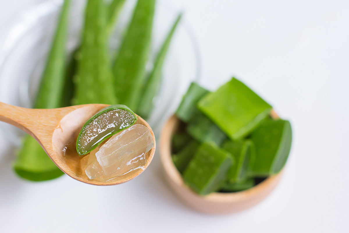 Can You Use Shea Butter And Aloe Vera For Stretch Marks