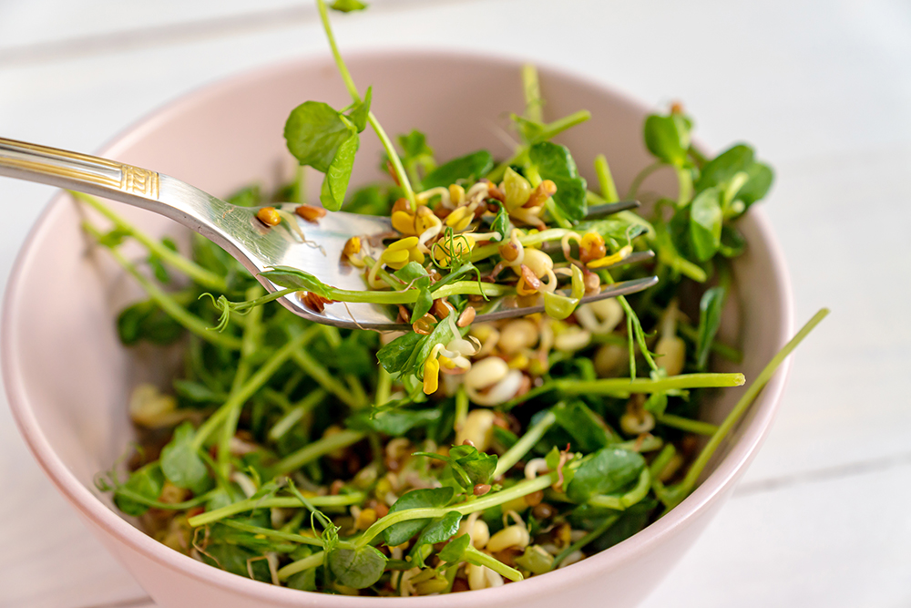 Raw sprouts | Foods to avoid during pregnancy